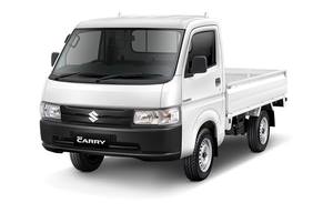 Suzuki Carry Pick Up Gading Serpong Tangerang Singgih